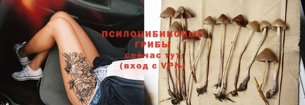 скорость Новодвинск