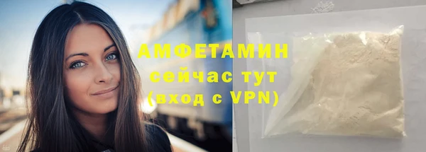 дмт Новозыбков