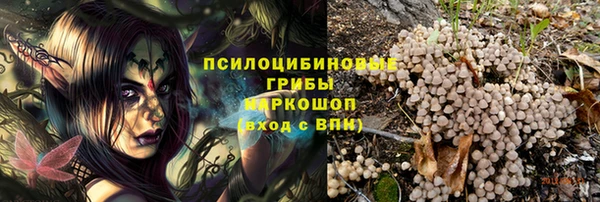 мяу мяу мука Новокубанск