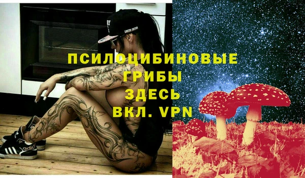 дмт Новозыбков