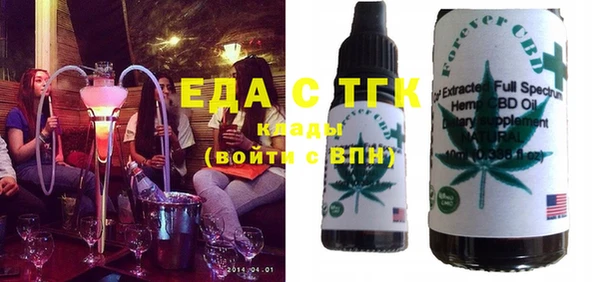 дмт Новозыбков
