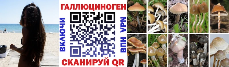 Псилоцибиновые грибы ЛСД  Томилино 